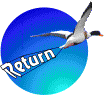 Return button