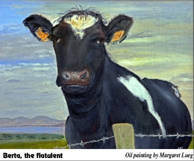 Berta, the flatulent