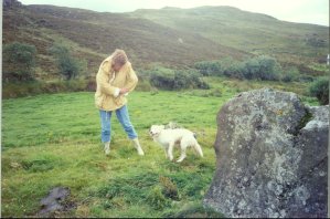 A white collie