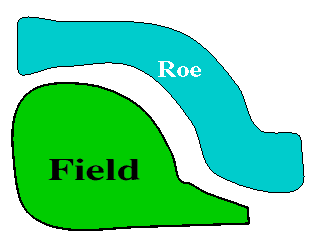 Grundplan der Wiese.