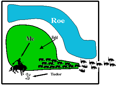Die ber&uuml;hmte Stampede