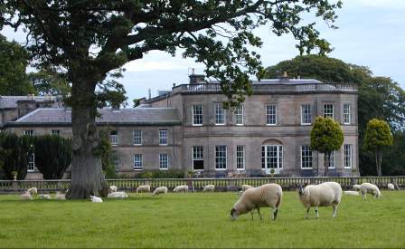 Drenagh