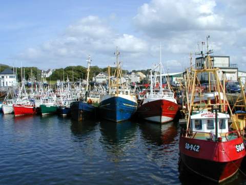 Die Fischereiflotte