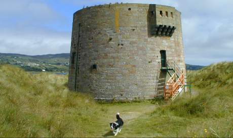 Der Martello Turm und Hund