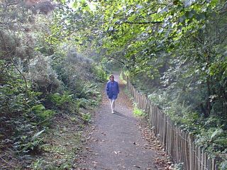 Meg on the path
