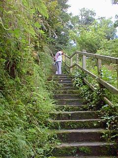Up the hill