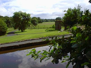 View across the large field towards the Roe