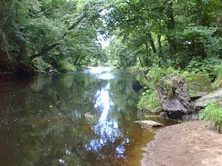 The view at carrick bridge